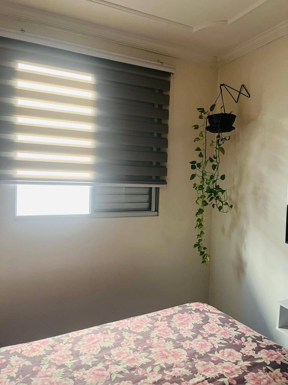 Apartamento à venda com 2 quartos, 50m² - Foto 11